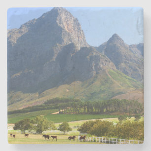 Kapstadt, Westkap, Südafrika Steinuntersetzer