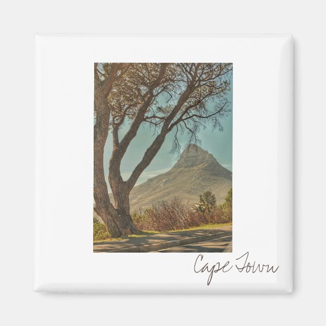 Kapstadt ZA Südafrika Löwenkopf Magnet (Vorne)