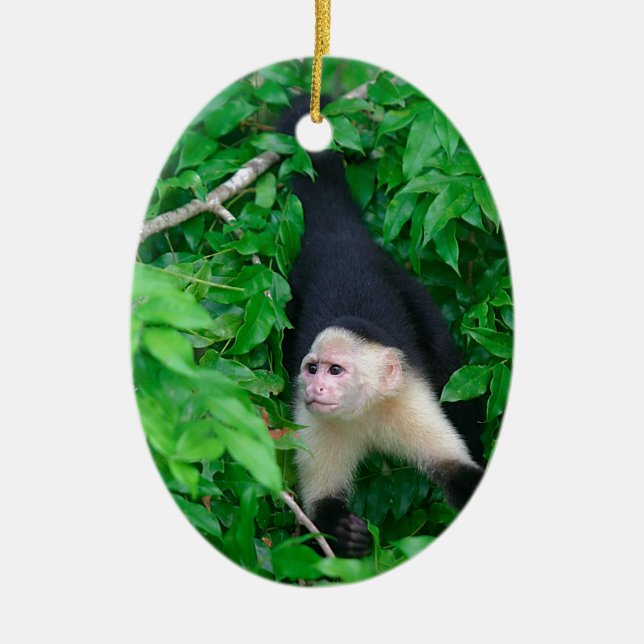 Kapuzineraffe Keramik Ornament (Vorne)