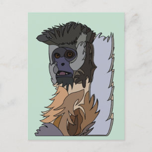 Kapuzineraffe Postkarte