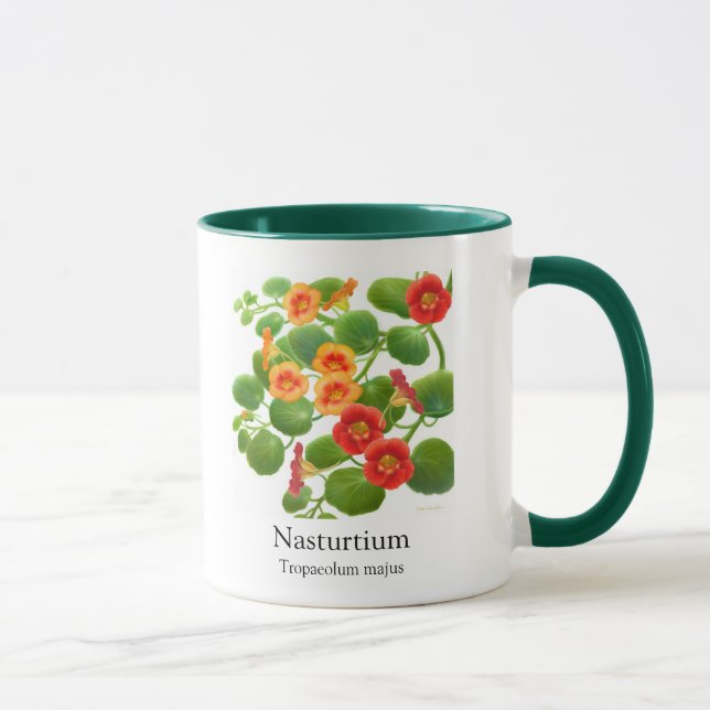 Kapuzinerkäse-botanische Kunst-Tasse Tasse (Rechts)
