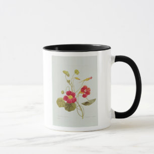 Kapuzinerkäse Tasse