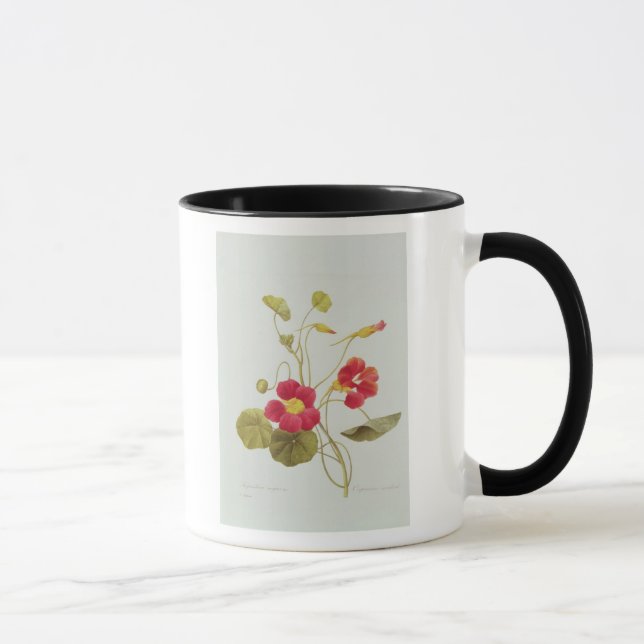 Kapuzinerkäse Tasse (Rechts)