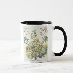 Kapuzinerkäse und Gänseblümchen: 1.Nasturtium Tasse