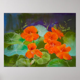 Kapuzinerkresse-Blüte - Botanisches Pastell Poster