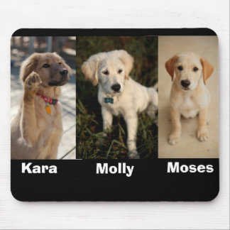 Kara Welle, Moses, Molly jünger, Moses, Molly,… Mousepad