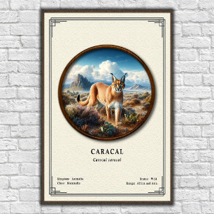 Karakal-Zoologie-Serie Poster