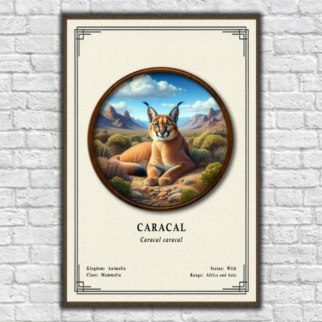 Karakal-Zoologie-Serie Poster (Von Creator hochgeladen)