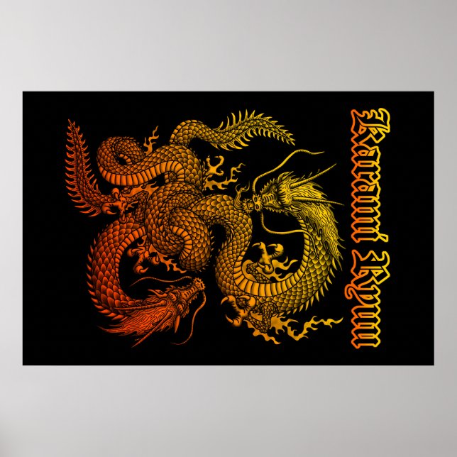 Karami Ryuu 1 Poster (Vorne)