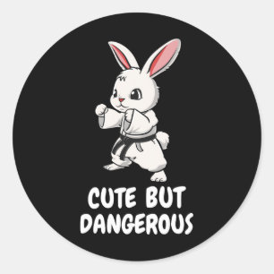 Karate Bunny Niedlich, aber gefährlich lustige Kam Runder Aufkleber