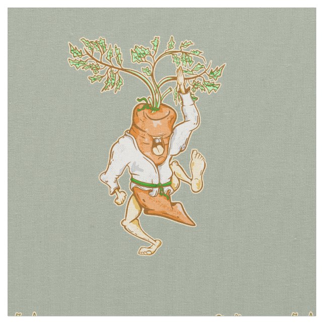 Karate Karottenmartial Arts Stoff (Nahaufnahme)