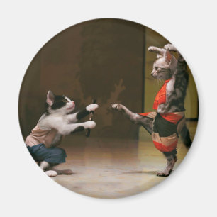 Karate-Katzen Magnet