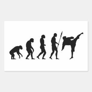 Karate-Kick-Evolution Rechteckiger Aufkleber
