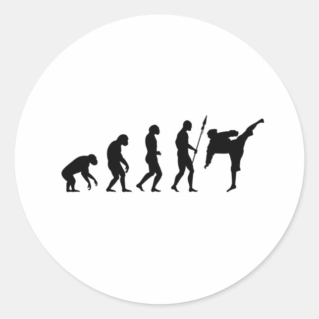 Karate-Kick-Evolution Runder Aufkleber (Vorderseite)