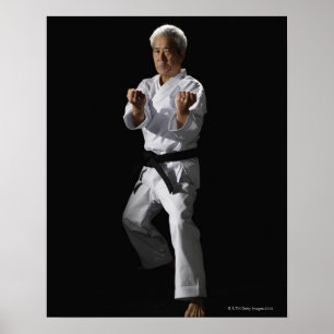 Karate master, Portrait, Studio-Aufnahme 2 Poster