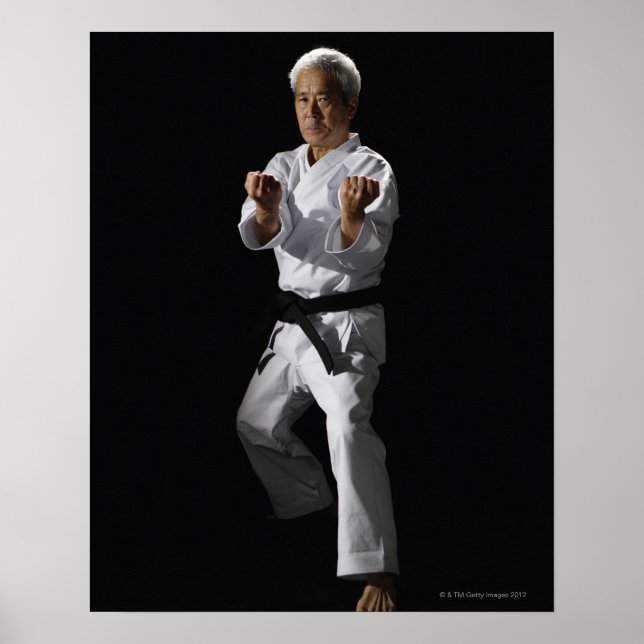 Karate master, Portrait, Studio-Aufnahme 2 Poster (Vorne)