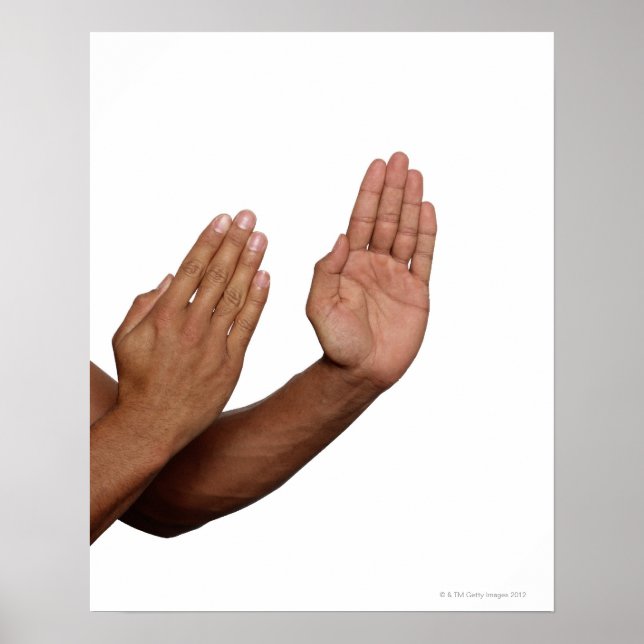 Karate Stance 2 Poster (Vorne)