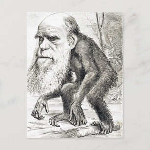 Karatikatur von Charles Darwin 1871 Postkarte