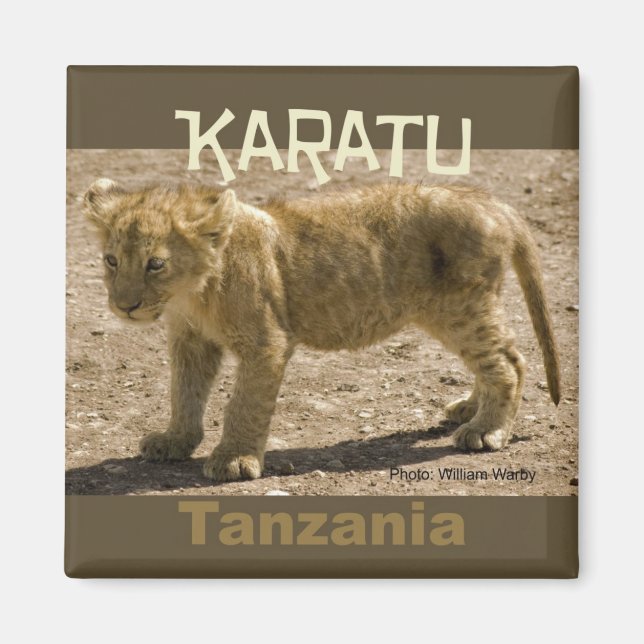 Karatu Tansania Africa Kühlschrankmagnet Lion Cub Magnet (Vorne)