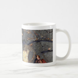 Karbonatsfelsen mit Fossilien Kaffeetasse