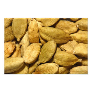 Kardamompoden Fotodruck