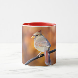 Kardinal 2716 tasse