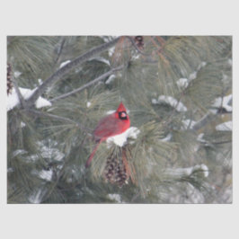 Kardinal 3093 Gewebepapier Seidenpapier