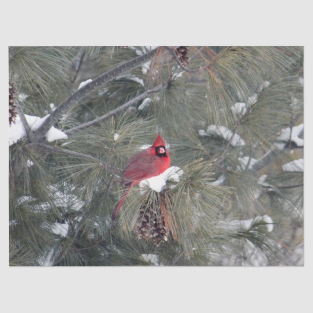 Kardinal 3093 Gewebepapier Seidenpapier (Vorderseite)