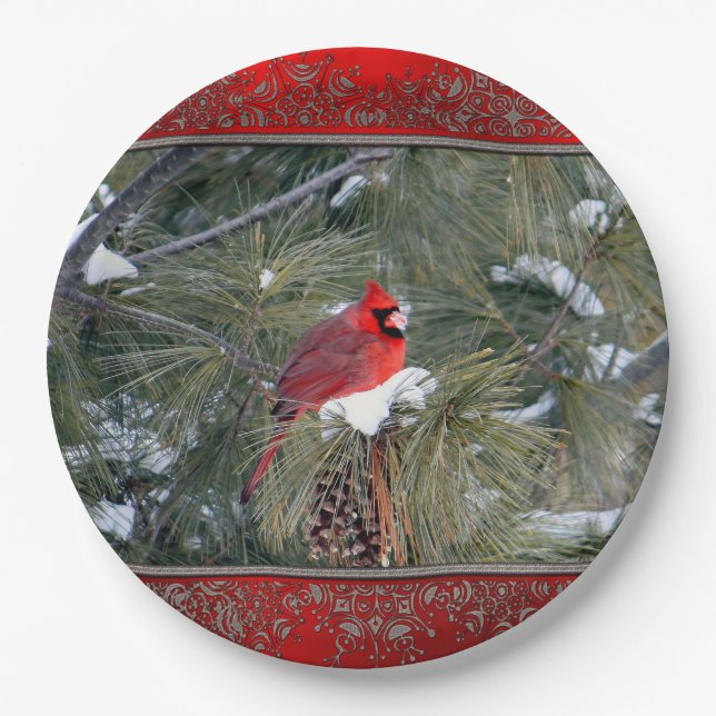 Kardinal 3097 Papierplatte Pappteller (Vorderseite)