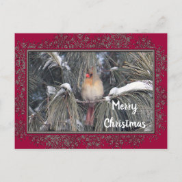 Kardinal 3225 Schneekiefern Postkarte