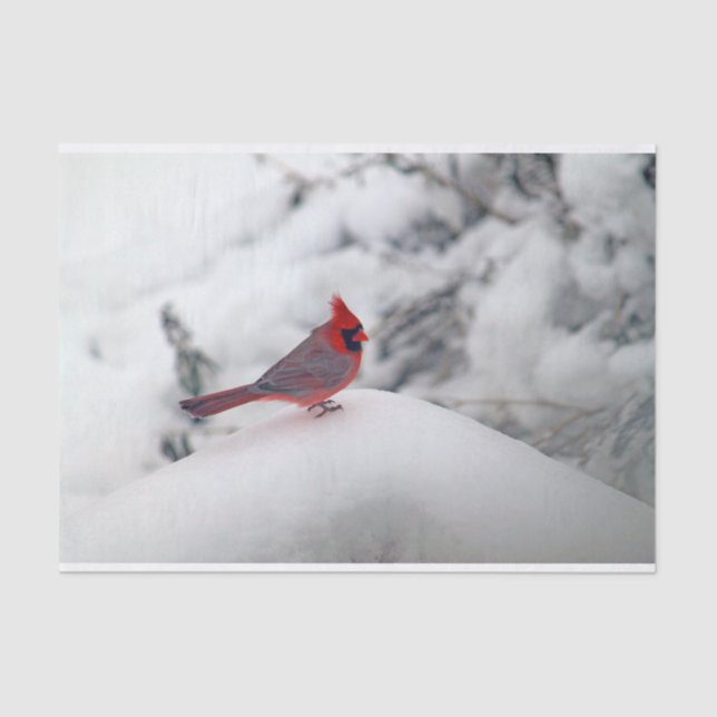 Kardinal 6239 Gewebepapier Seidenpapier (Vorderseite)