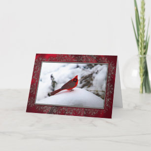 Kardinal 6243 Weihnachtskarte Feiertagskarte