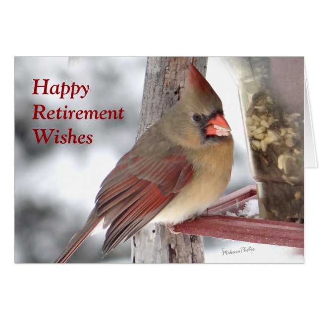 Kardinal 6649 xc - fertigen Sie besonders an (Vorderseite (Horizontal))