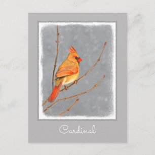 Kardinal auf Ast Malerei - Originale Vogelkunst Postkarte