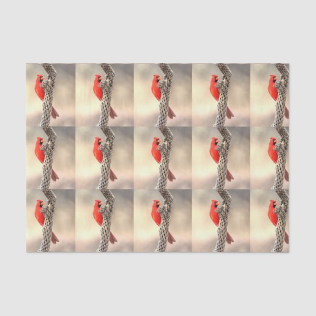 Kardinal auf einem Cholla Seidenpapier (Vorderseite)