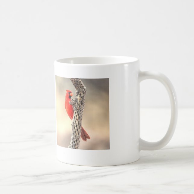 Kardinal auf einem Cholla Tasse (Rechts)