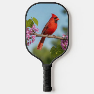 Kardinal auf einem Redbud-Zweig Pickleball Schläger
