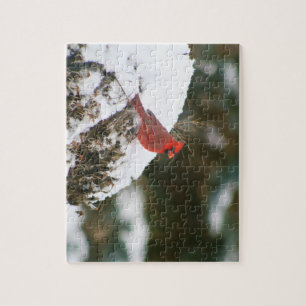 Kardinal auf einem Snowy Bush Puzzle