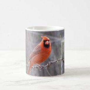 Kardinal auf Stacheldraht Kaffeetasse