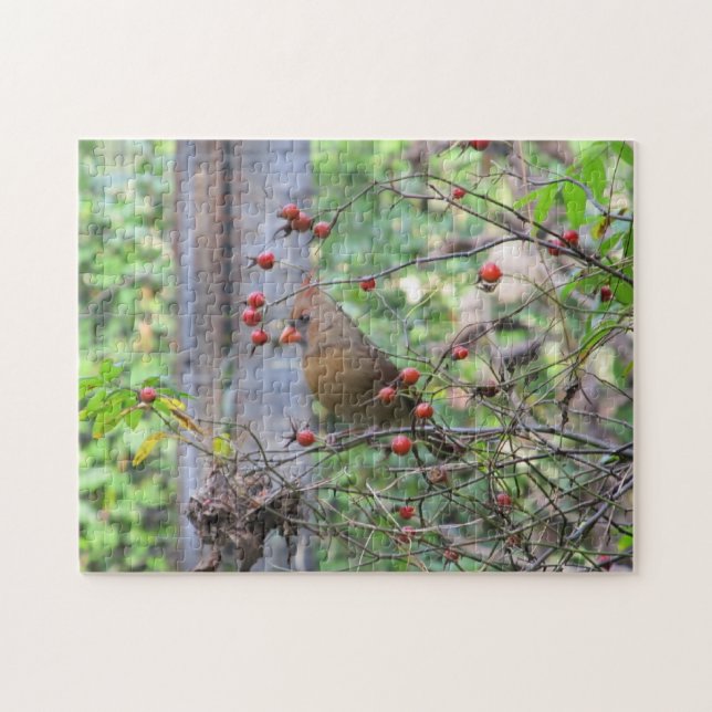Kardinal bei Bird Feeder, umgeben von Red Berries Puzzle (Horizontal)
