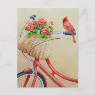 Kardinal Bird auf dem Bike Wasserfarben Kunst Postkarte