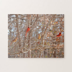 Kardinal Bird Couples Fall Season Tree Nature Puzzle