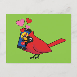 Kardinal Bird Liebe Paarung von Anrufen Postkarte