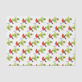 Kardinal Bird Red Seidenpapier