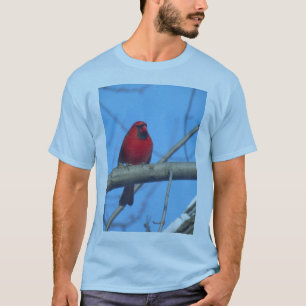 Kardinal Birds T-Shirt