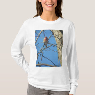 Kardinal Birds T-Shirt