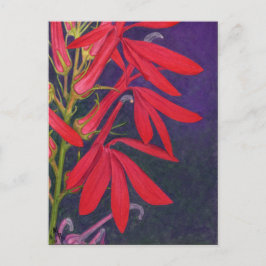 Kardinal Blume Blumenbemalung Postkarte