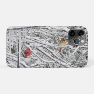 Kardinal Case-Mate iPhone Hülle