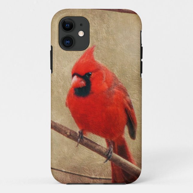 Kardinal Case-Mate iPhone Hülle (Rückseite)