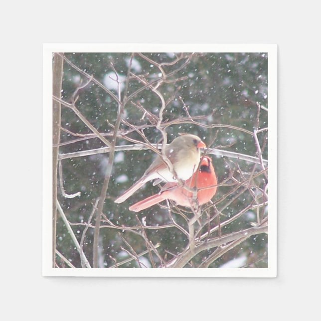 Kardinal Cocktail Napkins Serviette (Vorderseite)